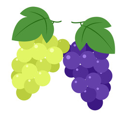 ぶどうとマスカット