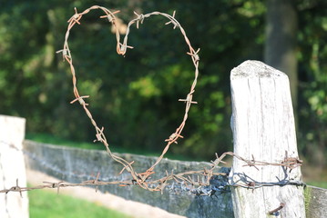 Stacheldraht Herz