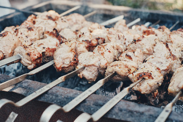 Barbecue on the coals. Grilled meat on a spit.