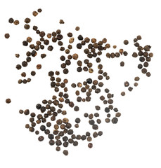 Black peppercorns isolated on white background