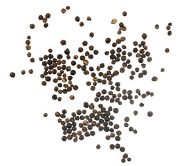 Black peppercorns isolated on white background