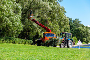 Caring for park trees © akintevs