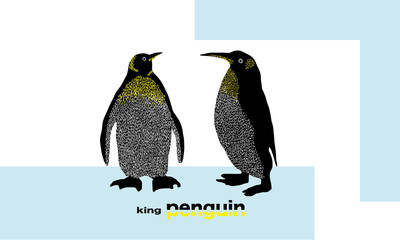 ペンギン　王様ペンギン　海　鳥
黒　白　手描き　シンプル　ワンポイント　かわいい