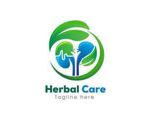 circle Green herbal care kidney logo design template
