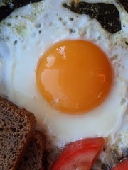fried egg in a frying pan