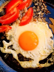 fried eggs with bread