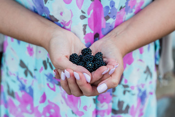 a bunch of black berries in the palms of a woman's hands