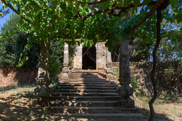 Fototapeta na wymiar View of a bunches of grapes still green, vineyards on top at the path, old stone pillars and stairs, typically Mediterranean