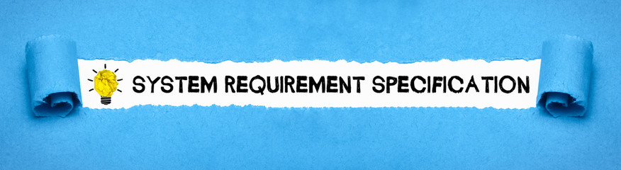 System Requirement Specification