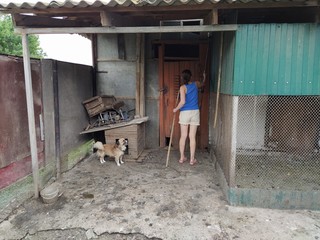 Woman placing agricultural tools
