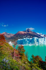 Famous Perito Moreno glacier and mountain turquoise lagoon with austral forests at golden Autumn in...