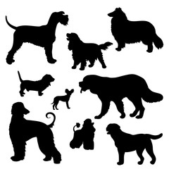 Silhouettes of dogs of different breeds
