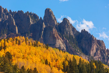 Autumn in Colorado