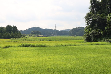 田園風景