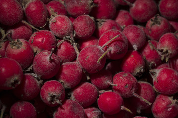  Hawthorn Red Berries background. Close up