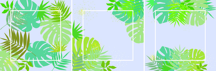 Set of green leaves with frame background vector
