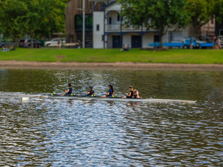 Girl Shell Rowers © david hutchinson