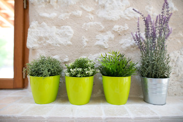 Plastic potted plants on a window ledge indoors
