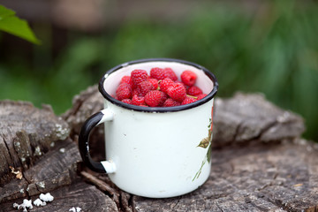 american, background, berry, breakfast, brunch, closeup, coconut, cup, delicious, dessert, diet, domestic, drink, enameled, flake, food, fresh, freshness, frozen, green, harvest, health, healthy, heal
