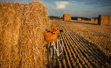 a  vintage bicycle with a bouquet of yellow flowers in a basket against against the background of a harvested rye field with haystacks