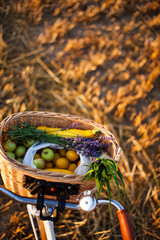 retro bike with wicker basket full of fruits and vegetables.summer background