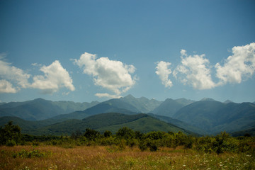 Beautiful mountains  landscape at summer