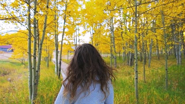Slow motion pov point of view handheld behind shot of young woman back walking Ashcroft ghost town mining village with yellow foliage aspen trees by Castle Creek road, Aspen Colorado in autumn fall