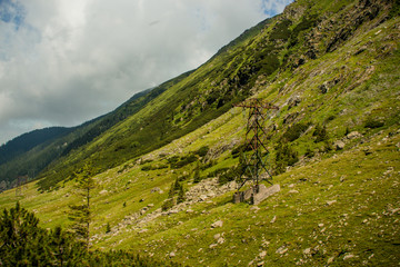 Beautiful mountains  landscape at summer