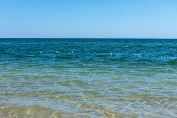 Beautiful clear blue sea. Transparent water background and texture. Summer vacation with family