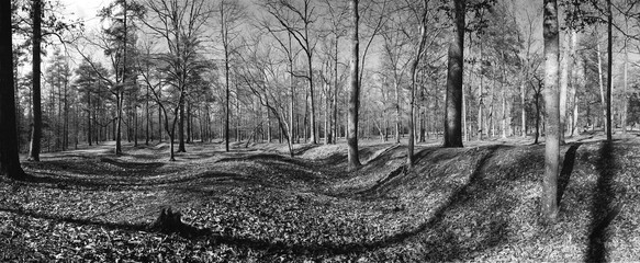 CS lines, Cold Hrbor, VAA