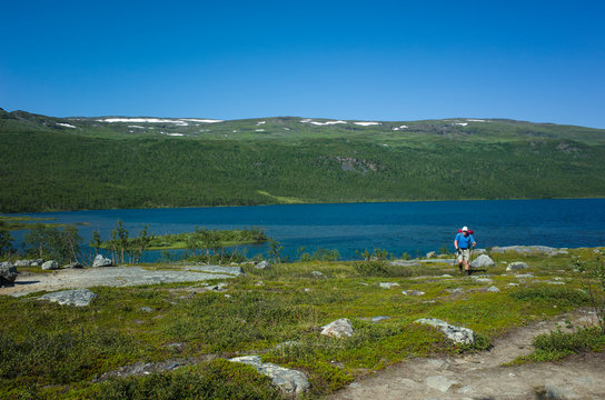 Hiking in Sweden in summer. Man tourist trekking in Abisko National Park near mountain lake Abiskojaure in northern Sweden. Nature of Scandinavia in sunny day blue sky