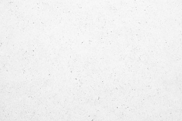 Fototapeta premium White recycle kraft paper cardboard surface texture background