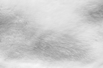 White fur fabric texture background