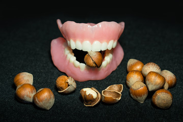 Teeth (Dental) prosthesis. Doctor Dentist, two acrylic dentures
