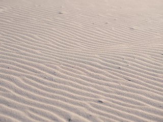 sand ripples in the sand