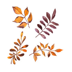 Autumn brown, purple and orange leaves. Hand drawn watercolor illustration.