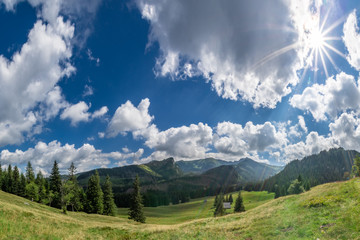 Fototapeta premium Polana Kalatówki