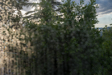 Spring from the house window