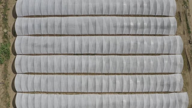 greenhouses textures in Mataro, Barcelona Spain