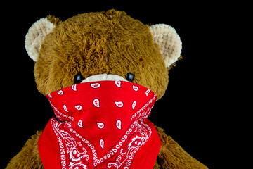 Teddy Bear Wearing a Red Bandana on a Black Background