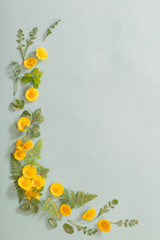 spring yellow flowers on paper background