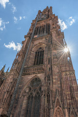 Straßburger Münster im Gegenlicht