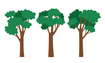 Vector illustration of different green trees in cartoon style