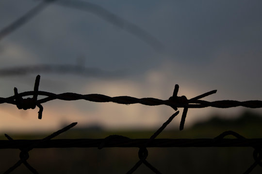 Barbed wire fence, close-up, against the background of dusk. There is room for text, copy space.
