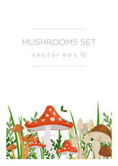 Mushroom background cover hand drawn illustration. Amanita, toadstool, porcini mushroom, honey agarics, boletus. Forest mushrooms, vector, eps10