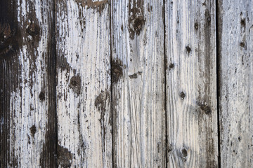 worn wooden plank panel with knots, gray wood texture background