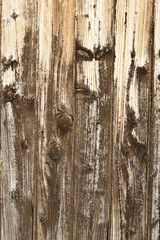 worn wooden plank panel with knots, brown wood texture background