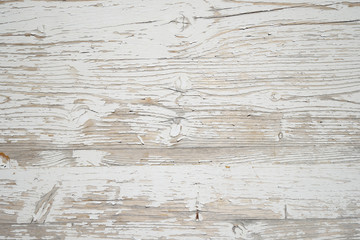 wooden plank panel with knots, white wood texture background