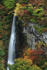 紅葉の米の粉の滝