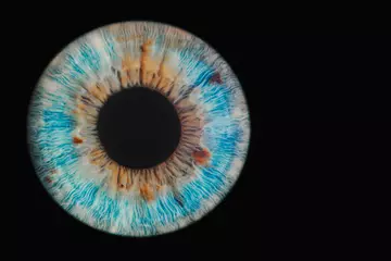 Möbelaufkleber blue eye on black background © Lorant